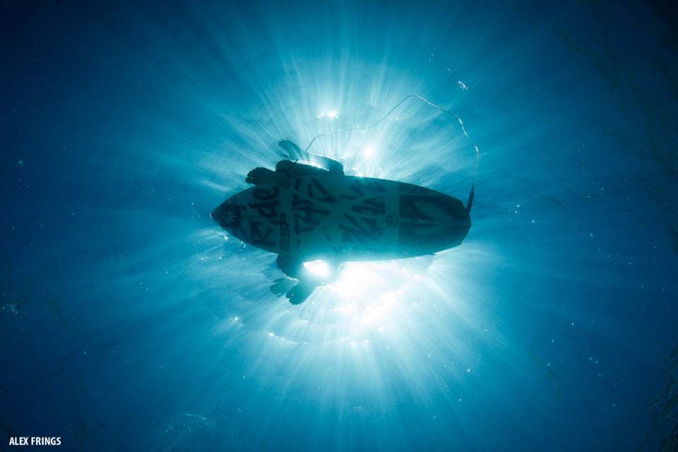 The view from below.