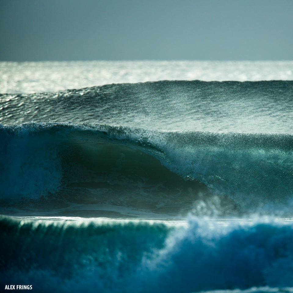 Fesh lines
