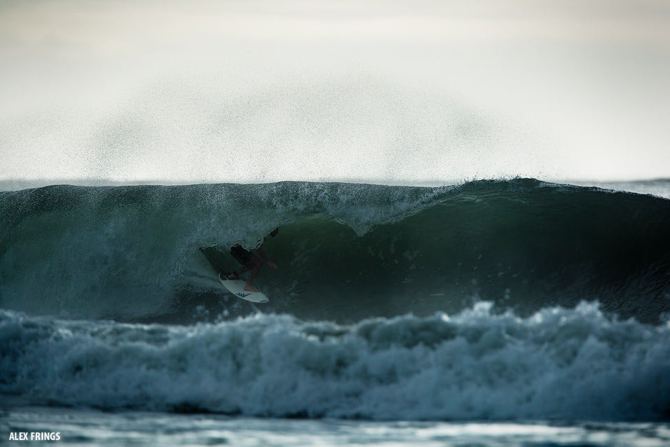 Luking it up on a gloomy morning