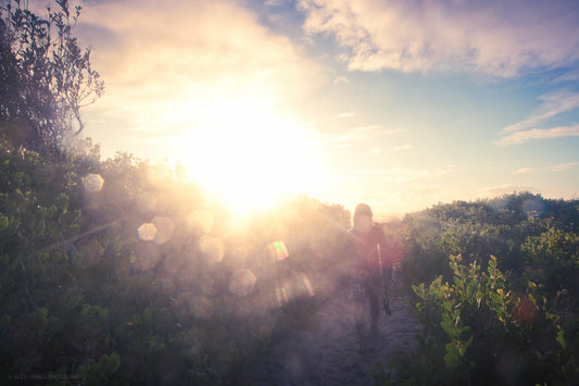 Summer Dreams