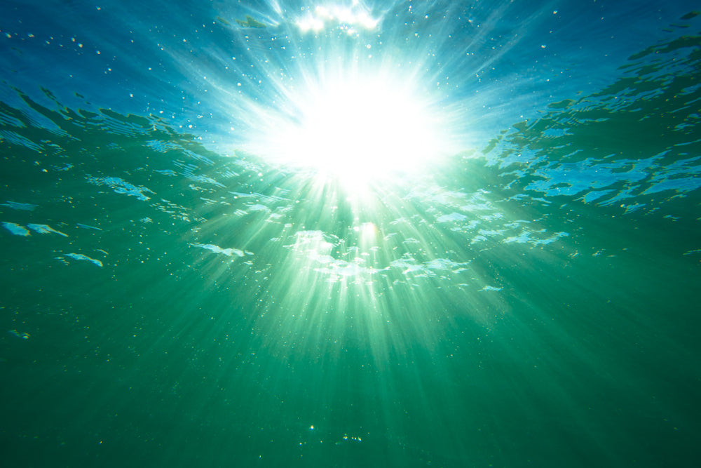 Into the light