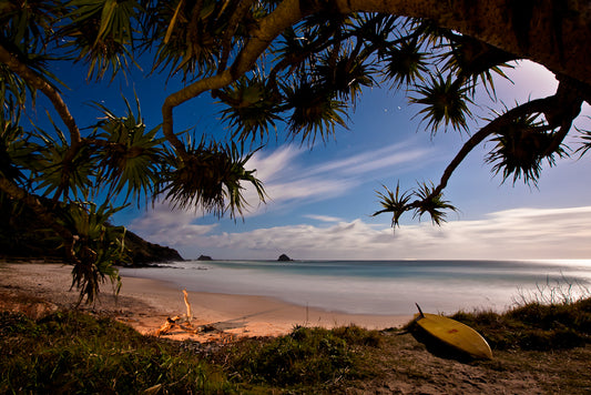Tropical Paradise
